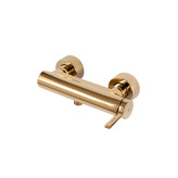 توالت آوا طلایی براق