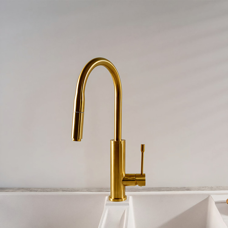 شیر ظرفشویی دو منظوره شوان مدل دانوب